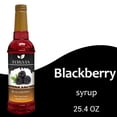 thumbnail image 1 of Syruvia Blackberry Syrup Pure Cane Coffee Flavoring Syrup, 25.4 fl Oz, 1 of 6