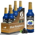 thumbnail image 1 of Syruvia Blue Raspberry Syrup 1 Case (6 Bottles, 25.4 fl oz Each) Blue Raspberry Flavoring Syrup, 1 of 7