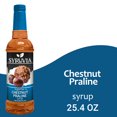 thumbnail image 1 of Syruvia Chestnut Praline Sugar Free Coffee Syrup No-Calorie Coffee Sauce for Coffee, Lattes, Shakes, Smoothies, Desserts, 25.4 Fl. Oz, 1 of 7
