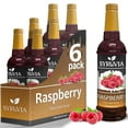 thumbnail image 1 of Syruvia Raspberry Syrup for Drinks 1 Case (6 Bottles, 25.4 fl oz Each) Raspberry Flavored Syrup, 1 of 7