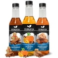 thumbnail image 1 of Syruvia Sugar-Free Holiday Variety Pack Pumpkin Spice, Brown Sugar Cinnamon & Gingerbread Coffee Syrup (3-Pack), 1 of 6