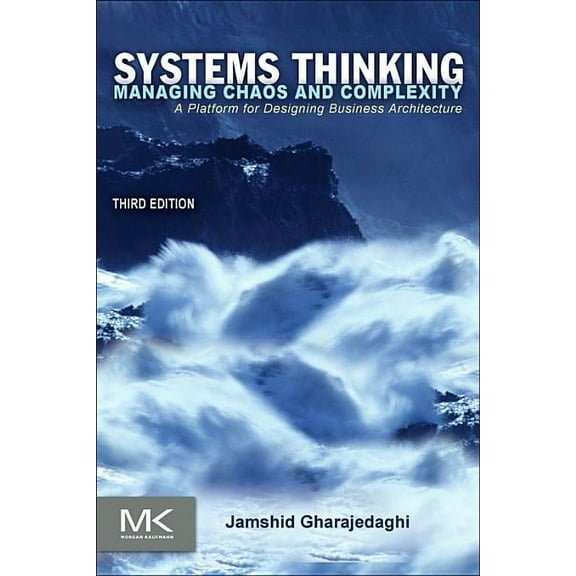 Systems Thinking: Managing Chaos and Complexity: A Platform for Designing Business Architecture, (Paperback)