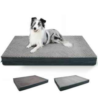 Cooling Dog Mats in Dog Beds Walmart