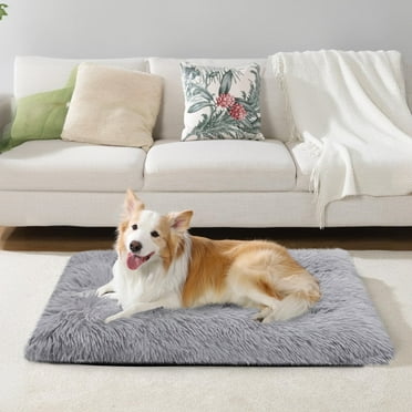 Sytopia Plush Fluffy Large Dog Bed, Rectangle Washable Dog Beds for Large and Medium Dogs with Anti-Slip Bottom, 32" x 22" - Up to 50 Lbs, Light Gray