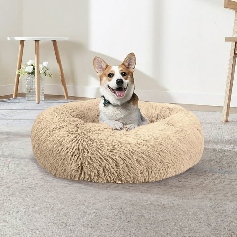 Large dog beds under $20 discount