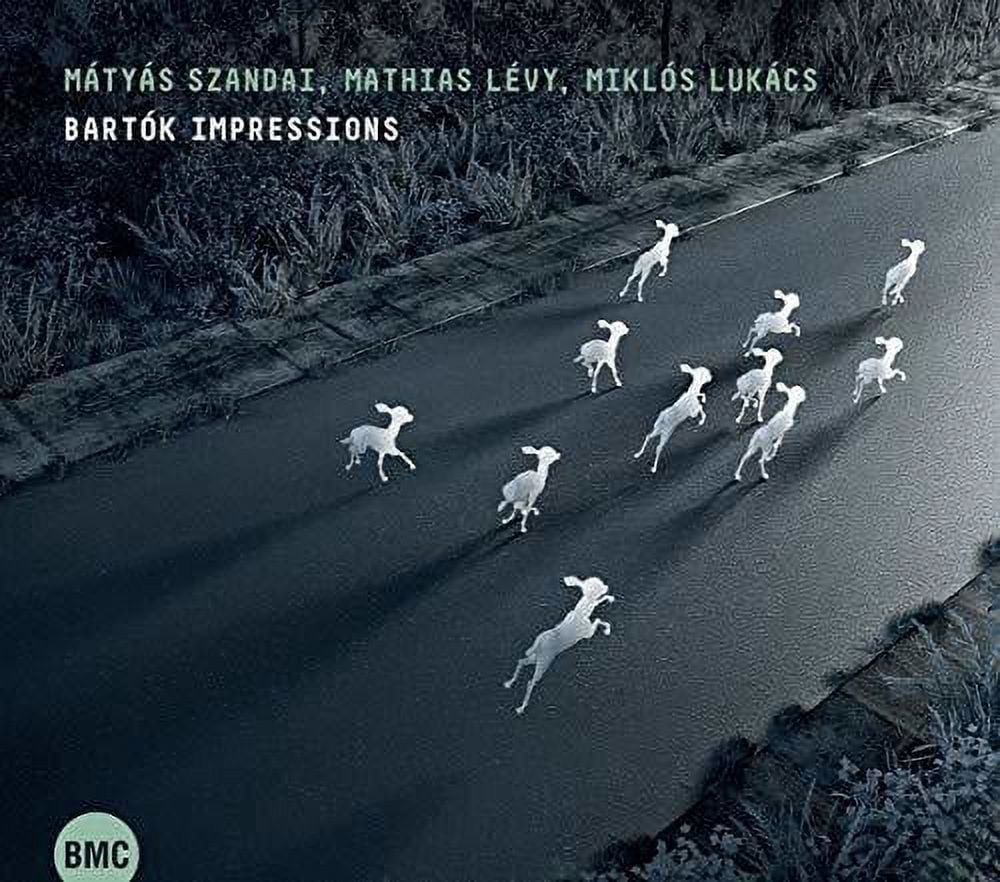 Szandai,Matyas / Levy,Mathias - Bartok Impressions - Music & Performance - CD