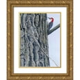 thumbnail image 1 of Szatkowski, Fred 15x18 Gold Ornate Wood Framed with Double Matting Museum Art Print Titled - Red Bellied Woodpecker II, 1 of 4