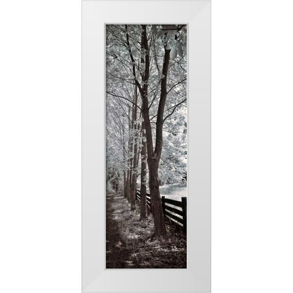 Szilagyi, Ily 11x24 White Modern Wood Framed Museum Art Print Titled - A Walk To Remember II