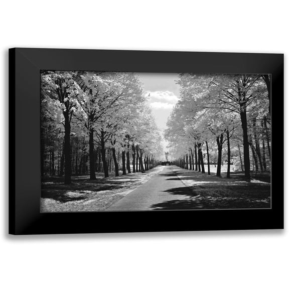 Szilagyi, Ily 14x11 Black Modern Framed Museum Art Print Titled - Sublime