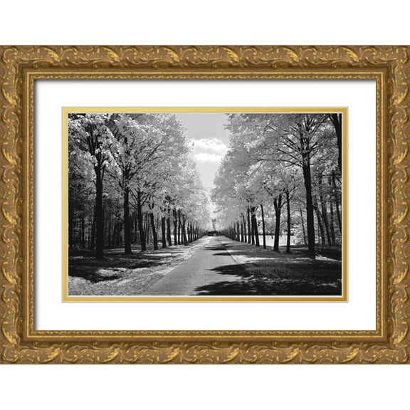 Szilagyi, Ily 14x11 Gold Ornate Wood Framed with Double Matting Museum Art Print Titled - Sublime