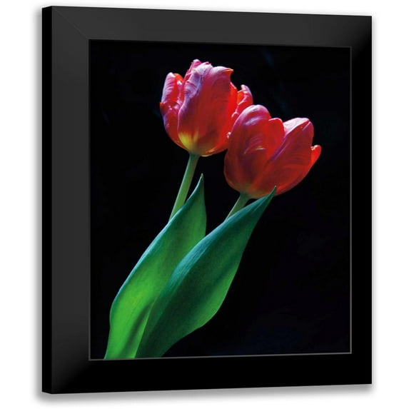 Szilagyi, Ily 15x18 Black Modern Framed Museum Art Print Titled - Romance