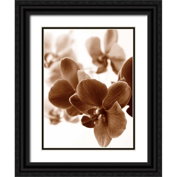 Szilagyi, lly 25x32 Black Ornate Wood Framed with Double Matting Museum Art Print Titled - Dreamy Orchids II