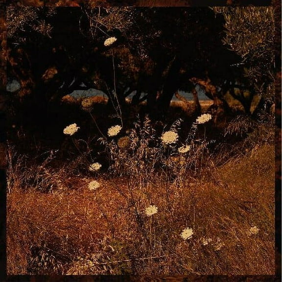 Szun Waves - Earth Patterns - Music & Performance - Vinyl