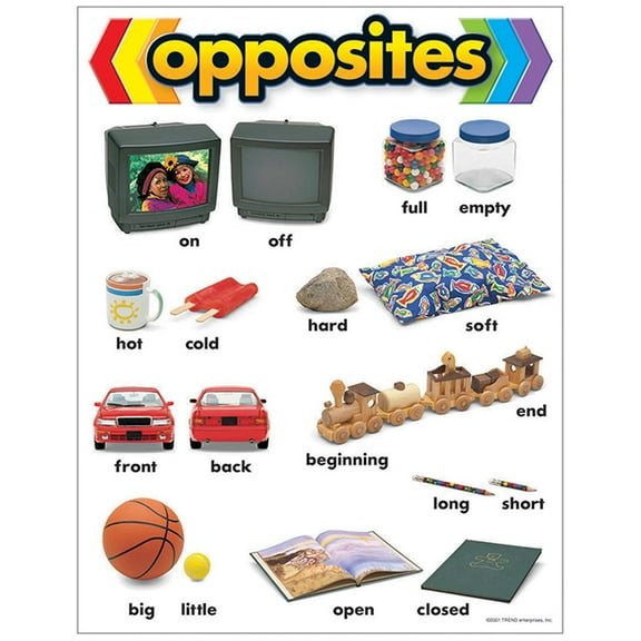 T-38027 - Opposites Learning Chart by Trend Enterprises Inc.