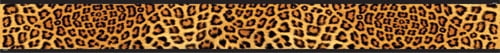 T-92163 - Leopard Terrific Trimmers, 39 ft by Trend Enterprises Inc.