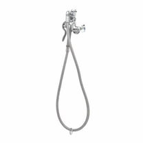 T&S Brass - Spray Assembly, Single Hole Wall Mount Base w/ VB, Angled Spray Valve, Flexible Hose