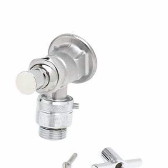 T&S Brass - Sill Faucet, Vacuum Breaker, 1/2'' NPT Female Inlet, 3/4'' GH Thread Outlet, Rough Chrome
