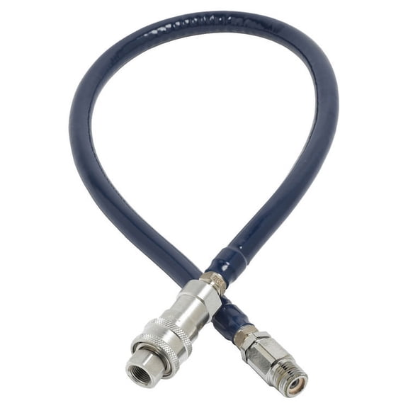 T&S Brass HW-4C-60 Water Hose