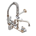 thumbnail image 1 of 20+15%2f16%22H+Wall+Mount+Pre+Rinse+Faucet+-+13%2f20+GPM%2c+Base+with+Nozzle, 1 of 1