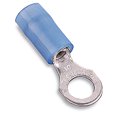 thumbnail image 1 of Thomas & Betts RB873 Sta-Kon Ring Terminal, 1 of 1