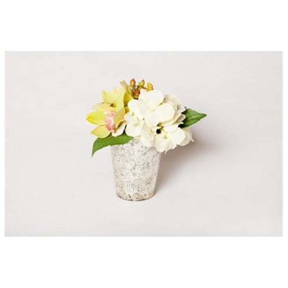 T&C Floral Company 8.5 x 8 in. Hydrangea And Orchid In Vintage Mercury Glass - Cream & Green