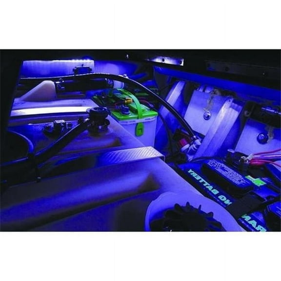T-H Marine Supplies LED-51959-DP 24 in. 4W Combo LED Flex Strip Light, Blue & Cool White