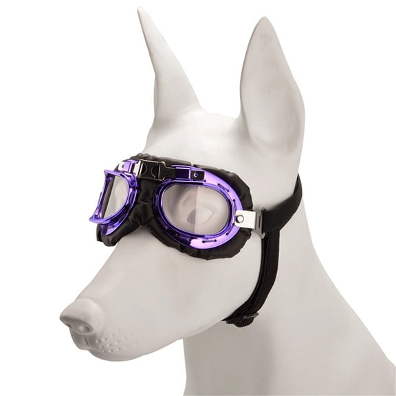 T-HOTLYST Dog Fashion Sunglasses Lovely Vintage Pet Sunglasses Reflection Eye Wear Glasses Vacations Dog Accessories