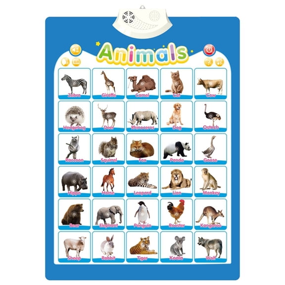 T-HOTLYST Interactive Wall Chart Toy for Toddler Cogntive Skill Educational and Learning Toy Enhancing Proficiency for Preschools