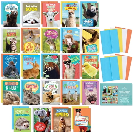 24 Funny Greeting Cards Set with Envelopes - 24 Unique Designs with No Repeats - Cute 4.5” x 6.25” Blank Boxed Animal Note Cards Pack to Say Thinking of You, Hello, Thank You or I Miss You