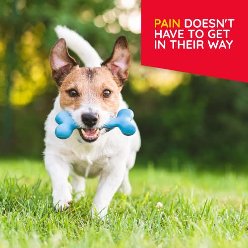 TRelief Pet Pain Relief Arnica +12 Powerful Natural Medicines Help