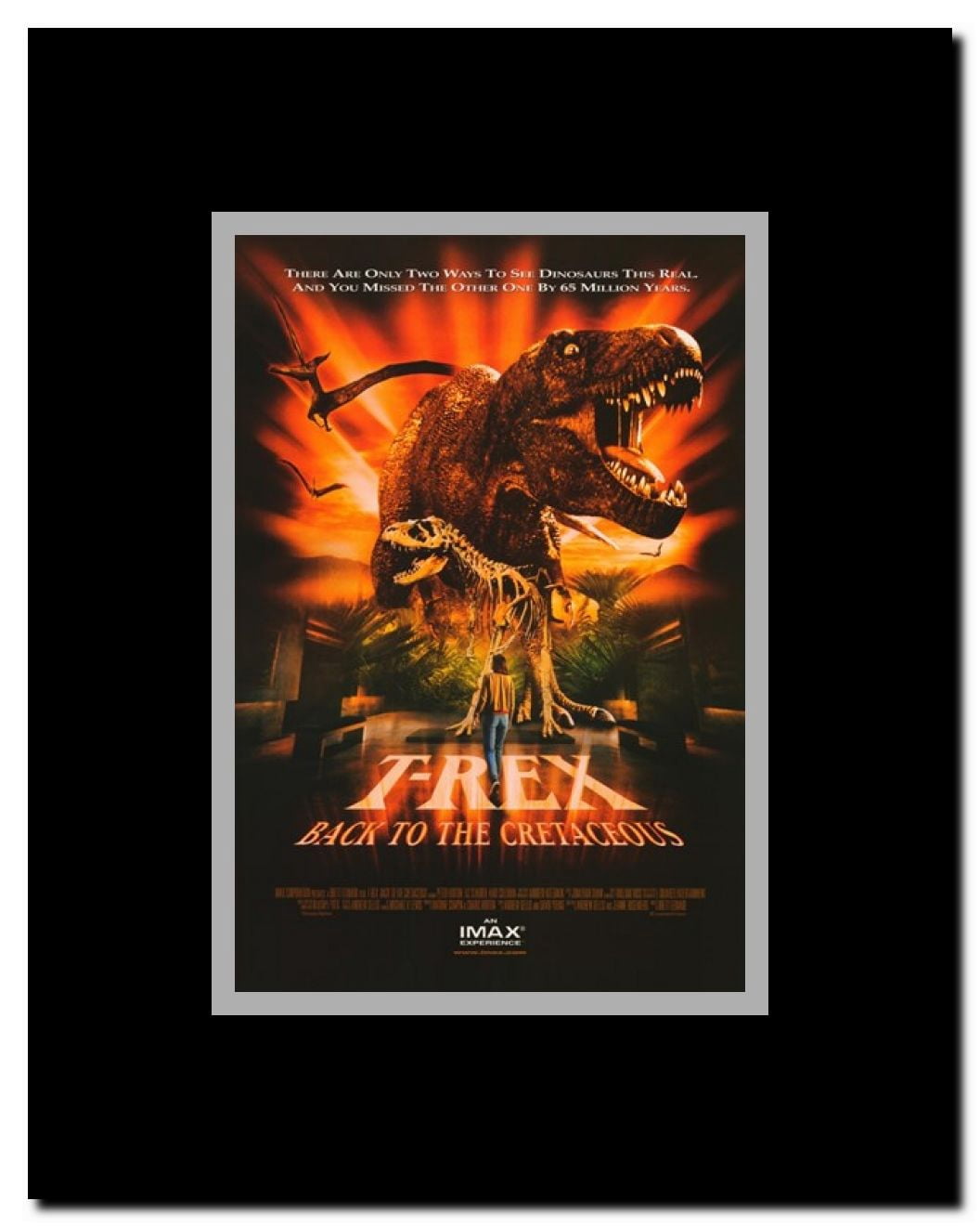T-Rex: Back to the Cretaceous (IMAX) Framed Movie Poster