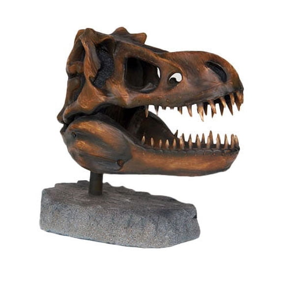 T-Rex Dinosaur Skull Head Life Size Statue