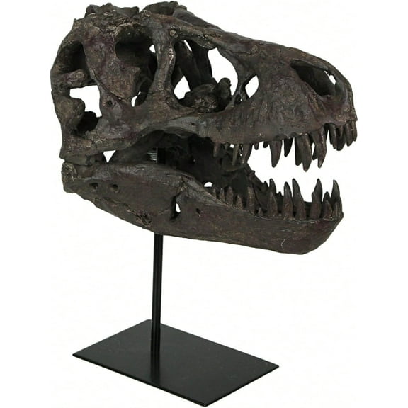 T-Rex Dinosaur Skull Mounted Tyrannosaurus Rex Fossil Statue