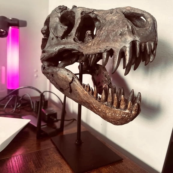 T-Rex Dinosaur Statue,Resin Dinosaur Skull Fossil Replica, Home Ornaments, 11.8in, Black