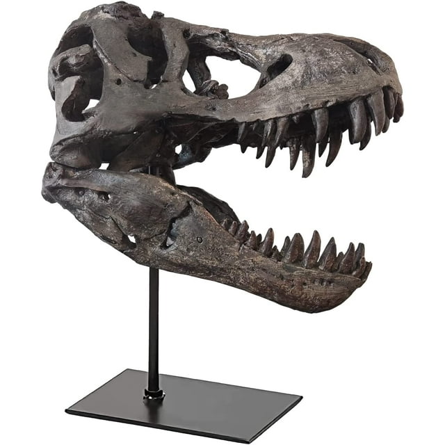 T Rex Skull, Dinosaur Statue Resin Replica Head Sculptures, Home Office Decorations on Shelf Table Desk Bookshelf, Birthday Party Gift for Kids and Adults,11.8 inch