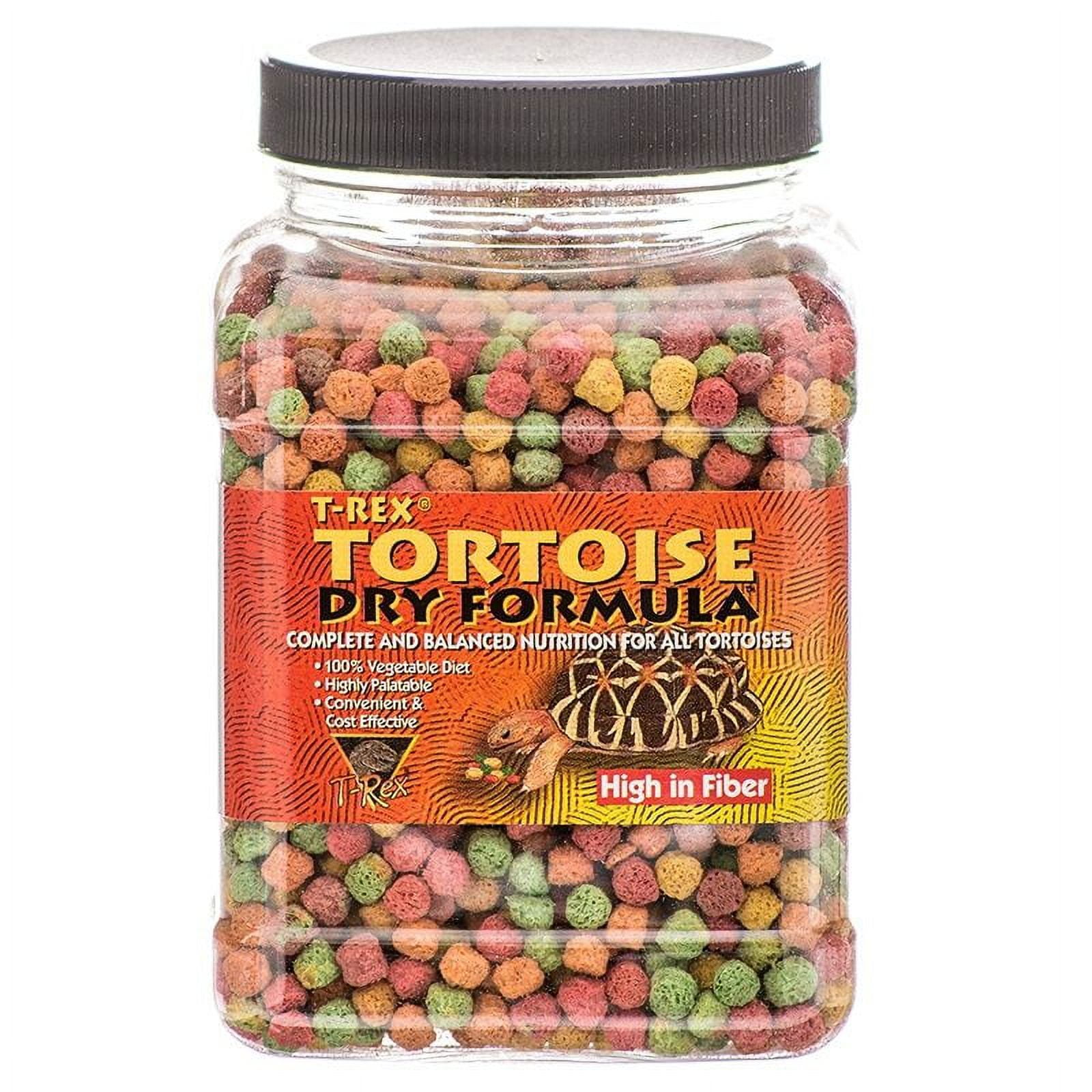 T rex top tortoise food