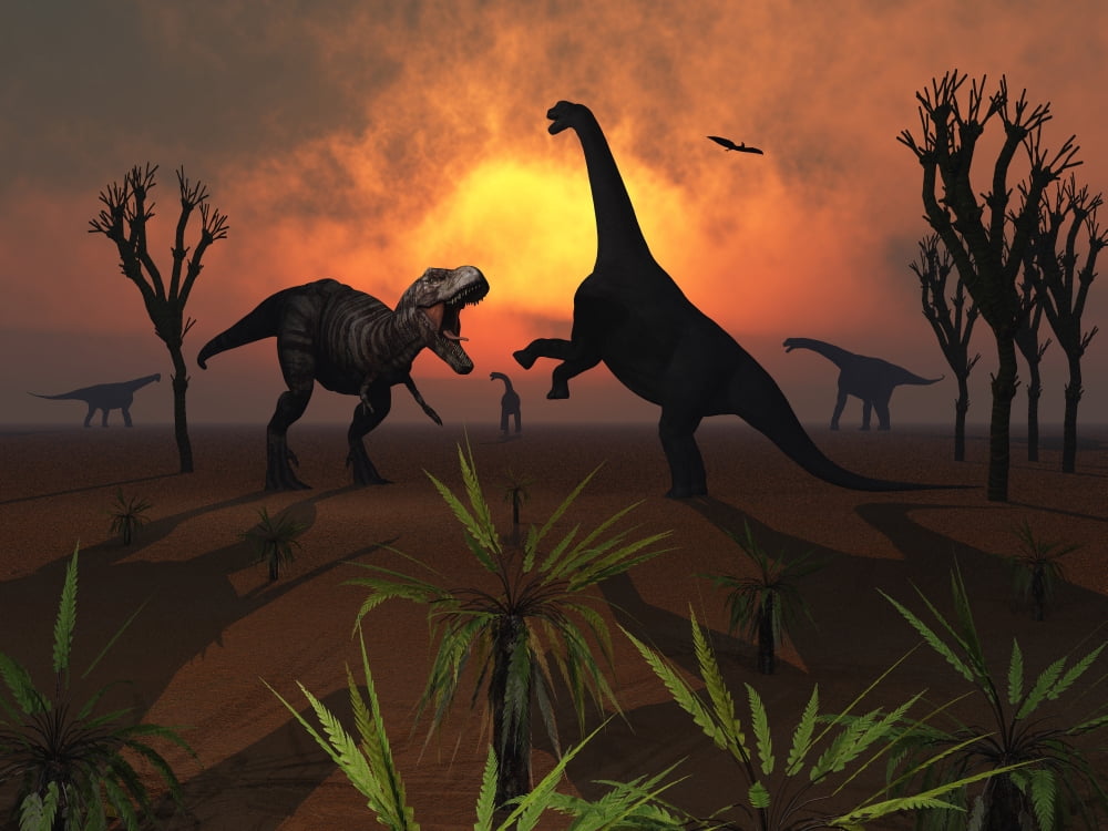 T Rex confronts a group of Camarasaurus dinosaurs Canvas Art - Mark StevensonStocktrek Images (33 x 25)