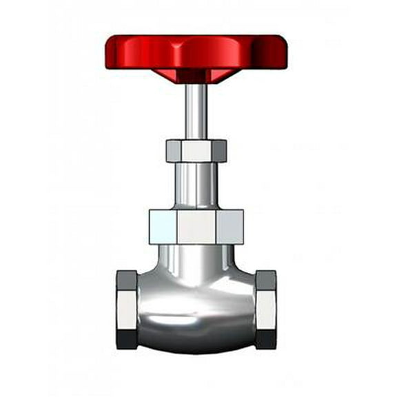 T&S Brass - 3/4'' Globe Valve, Rough Chrome Plated (S