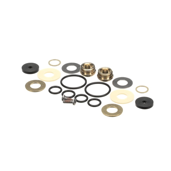 T&S Brass Big-Flo Repair Kit, Washers, O-Rings, Seats And Sc B-0290-K - Genuine OEM Replacement Part