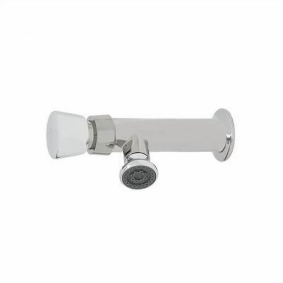 T&S Brass - Metering Faucet, Single Temperature, 1/2'' NPT Female Inlet, 1.0 GPM Rosespray Outlet