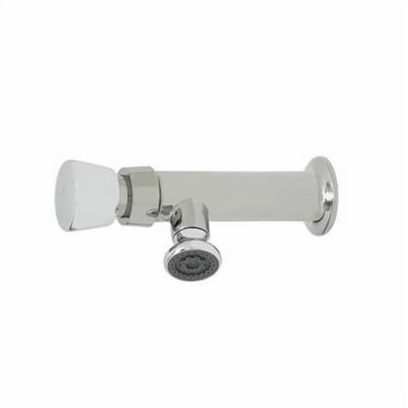 T&S Brass - Metering Faucet, Single Temperature, 1/2'' NPT Female Inlet, Rosespray