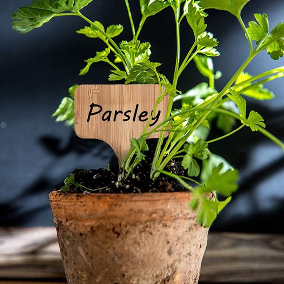 TShaped Bamboo Plant Labels DoubleSided Writable Garden Markers for Plant Identification
