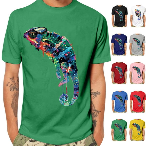 T Shirts for Men Crewneck Short Sleeve Graphic Crew Neck Relaxed Fit T-Shirt Gifts for men锛宱n