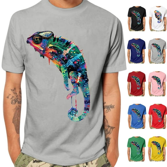 T-Shirts for Men Crewneck Short Sleeve Graphic Crew Neck Relaxed Fit T-Shirt（Gray Size:S-4XL)