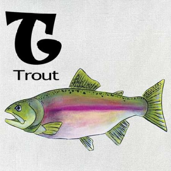 T - Trout Canvas Art - Shanni Welsh (24 x 24)