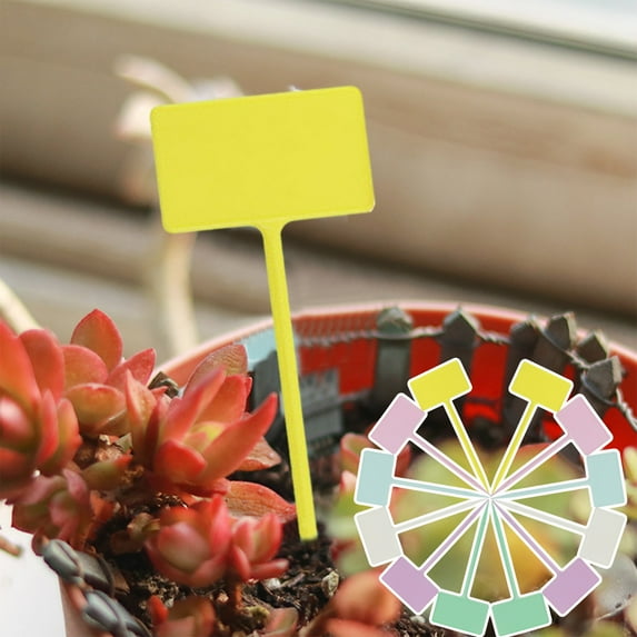 T-Type Labels | 12-Pack Plastic Garden Markers | 6.3x5x18cm Tags for Outdoor Gardening | Reusable Identification Stakes for Vegetables Flowers Herbs