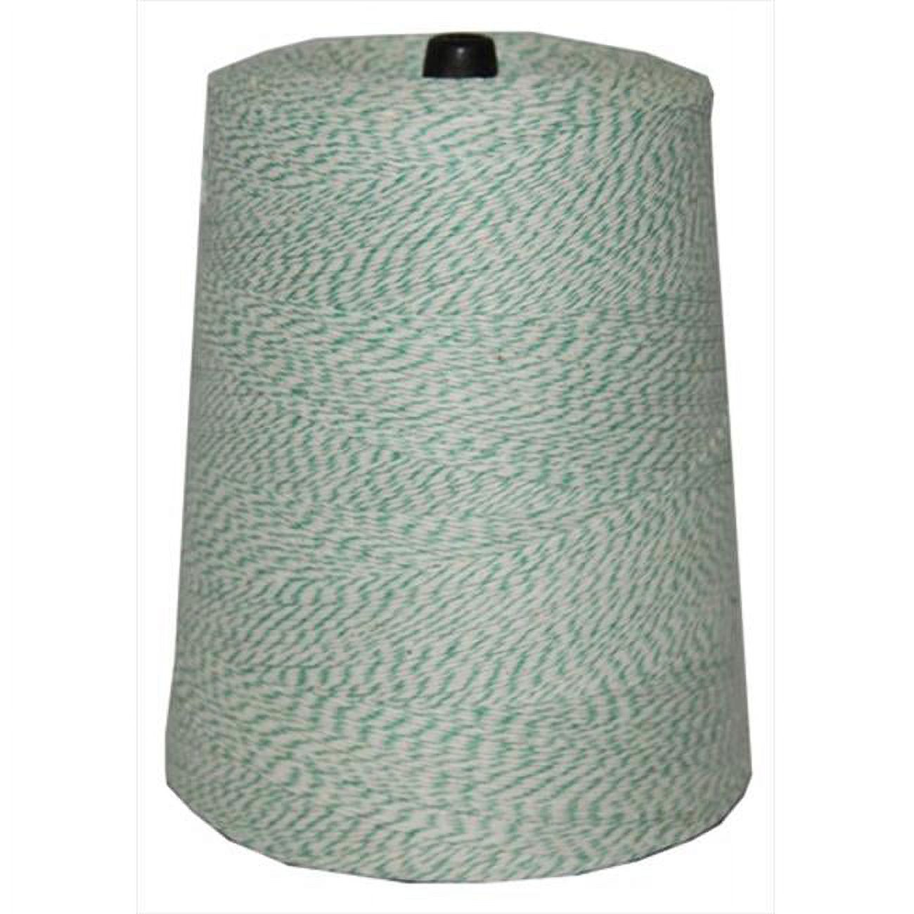 T.W. Evans Cordage  4 Poly Variegated 2 Pound Cone with 9600 ft. in Green and White - image 1 of 1