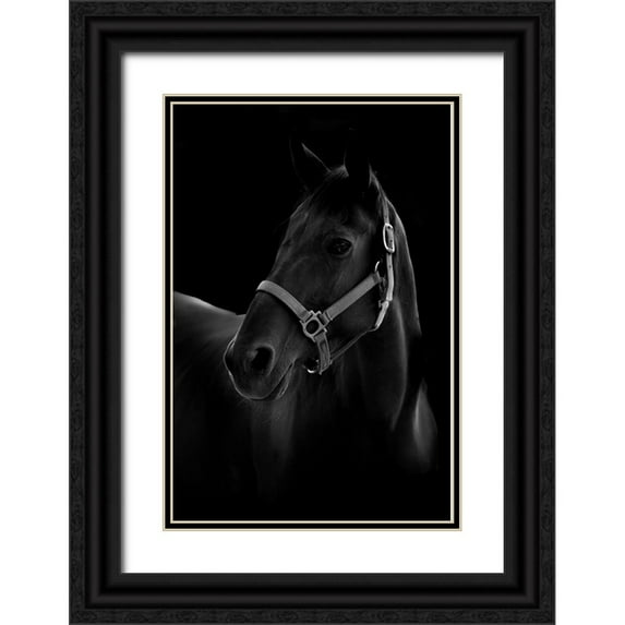 T, Yuya 23x32 Black Ornate Wood Framed with Double Matting Museum Art Print Titled - Horse