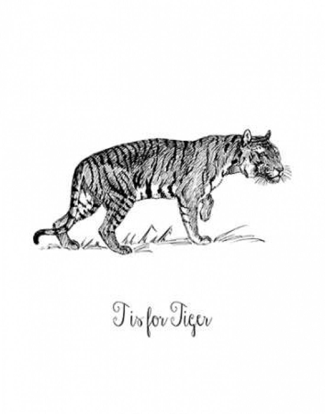 T is for Tiger Canvas Art - Tara Moss (22 x 28)