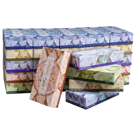 T100VAP 2-Ply Facial Tissues in a Box, White, 100 Count (Pack of 30)